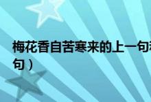 梅花香自苦寒來的上一句和下一句（梅花香自苦寒來的上一句）