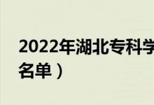 2022年湖北專(zhuān)科學(xué)校排名（最好的高職院校名單）