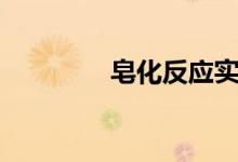 皂化反應(yīng)實驗（皂化反應(yīng)）