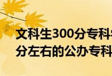 文科生300分?？茖W(xué)校（2022高考文科300分左右的公辦?？拼髮W(xué)）