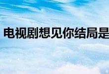 電視劇想見你結(jié)局是什么（最終結(jié)果是什么）