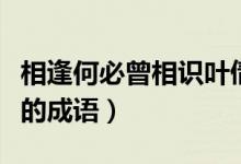 相逢何必曾相識(shí)葉倩文呂方（相逢何必曾相識(shí)的成語）