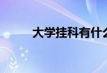 大學掛科有什么影響（如何補救）
