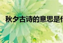 秋夕古詩的意思是什么（秋夕古詩的意思）