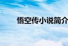 悟空傳小說(shuō)簡(jiǎn)介（悟空傳小說(shuō)介紹）