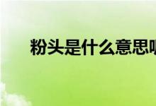 粉頭是什么意思呢（粉頭是什么意思）