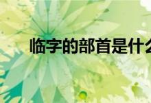 臨字的部首是什么（除去部首剩幾畫）