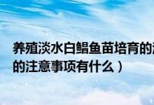 養(yǎng)殖淡水白鯧魚苗培育的注意事項（養(yǎng)殖淡水白鯧魚苗培育的注意事項有什么）