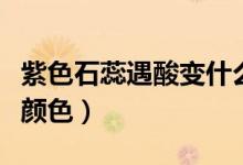紫色石蕊遇酸變什么色（紫色石蕊遇酸變什么顏色）