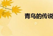 青鳥的傳說(shuō)（青鳥的含義）