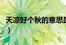 天涼好個(gè)秋的意思是什么（天涼好個(gè)秋的意思）