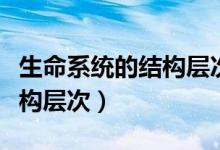 生命系統(tǒng)的結(jié)構(gòu)層次怎么理解(生命系統(tǒng)的結(jié)構(gòu)層次)