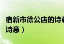 宿新市徐公店的詩意怎么寫（宿新市徐公店的詩意）