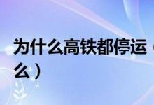 為什么高鐵都停運(yùn)（高鐵突然停運(yùn)一般是為什么）