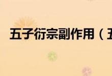 五子衍宗副作用(五子衍宗丸功能與主治)