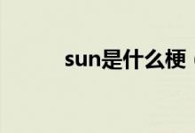 sun是什么梗(sun是什么日期)