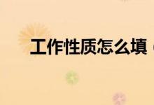 工作性質(zhì)怎么填（工作性質(zhì)怎么填寫）