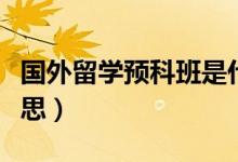 國外留學預(yù)科班是什么（留學預(yù)科班是什么意思）