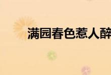 滿園春色惹人醉(滿園春色惹人醉)