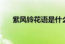 紫風(fēng)鈴花語是什么（紫風(fēng)鈴花語介紹）