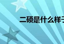 二碩是什么樣子的（二碩是什么）