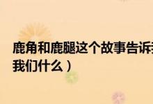鹿角和鹿腿這個故事告訴我什么（鹿角和鹿腿這個故事告訴我們什么）