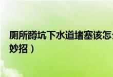 廁所蹲坑下水道堵塞該怎么辦（老式蹲便下水道堵了怎么辦妙招）