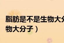 脂肪是不是生物大分子脂質(zhì)呢（脂肪是不是生物大分子）