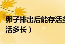 卵子排出后能存活多長(zhǎng)時(shí)間（卵子排出后能存活多長(zhǎng)）