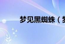 夢見黑蜘蛛(夢見黑蜘蛛好不好)