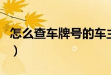 怎么查車牌號的車主（可以網(wǎng)上查車主信息嗎）