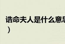 誥命夫人是什么意思?。ㄕa命夫人是什么意思）
