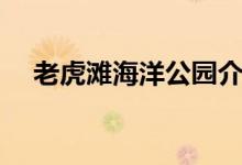 老虎灘海洋公園介紹（我們一起去玩吧）