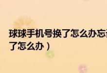球球手機(jī)號換了怎么辦忘記密碼了（球球密碼忘了手機(jī)號換了怎么辦）