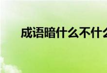 成語暗什么不什么（暗不成語是什么）