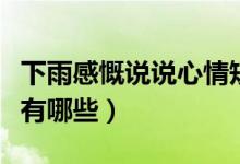 下雨感慨說說心情短句（表達(dá)雨天心情的句子有哪些）