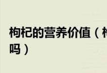 枸杞的營養(yǎng)價值（枸杞的這些營養(yǎng)價你都知道嗎）