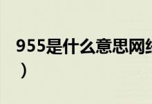 955是什么意思網(wǎng)絡(luò)語（955是什么意思上班）
