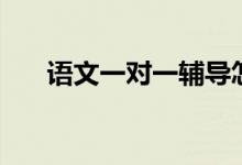 語文一對一輔導(dǎo)怎么教（方法是什么）