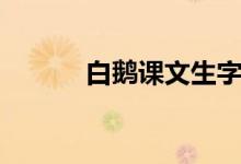 白鵝課文生字組詞（白鵝課文）