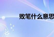 敗筆什么意思(敗筆什么意思)