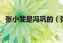 張小斐是馮鞏的（張小斐和馮鞏什么關(guān)系）