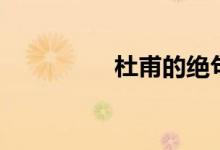 杜甫的絕句(杜甫自號(hào))