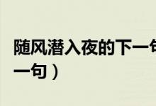 隨風(fēng)潛入夜的下一句詩句是（隨風(fēng)潛入夜的下一句）