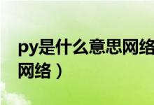 py是什么意思網(wǎng)絡用語全稱（py是什么意思網(wǎng)絡）