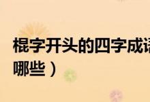 棍字開頭的四字成語（棍字開頭的四字成語有哪些）