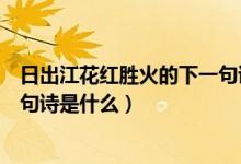 日出江花紅勝火的下一句詩是什么（日出江花紅勝火的下一句詩是什么）