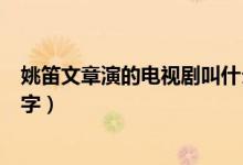 姚笛文章演的電視劇叫什么（姚笛文章演的電視劇叫什么名字）