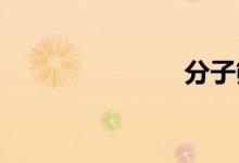 分子篩是什么
