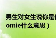 男生對女生說你是他的homie（女生叫男生homie什么意思）